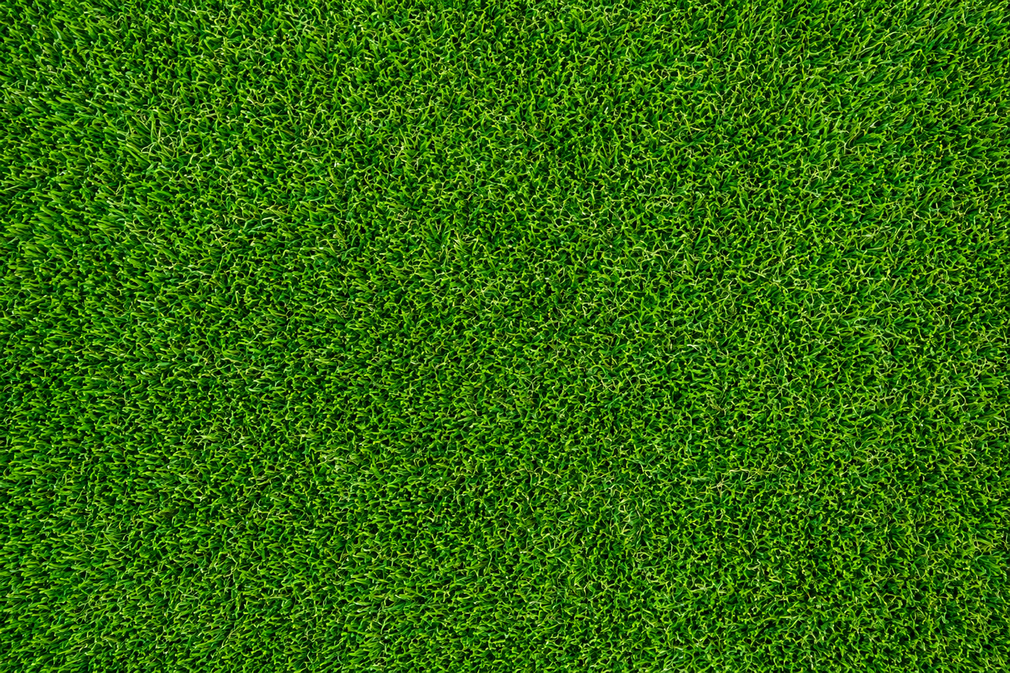 synthetic grass